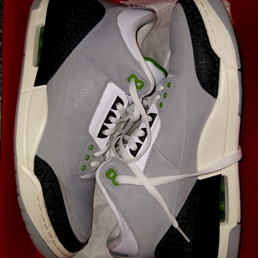 chlorophyll Jordan 3